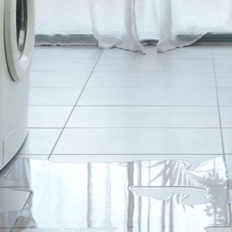 Appliance Leak Cleanup in Hart County, GA
