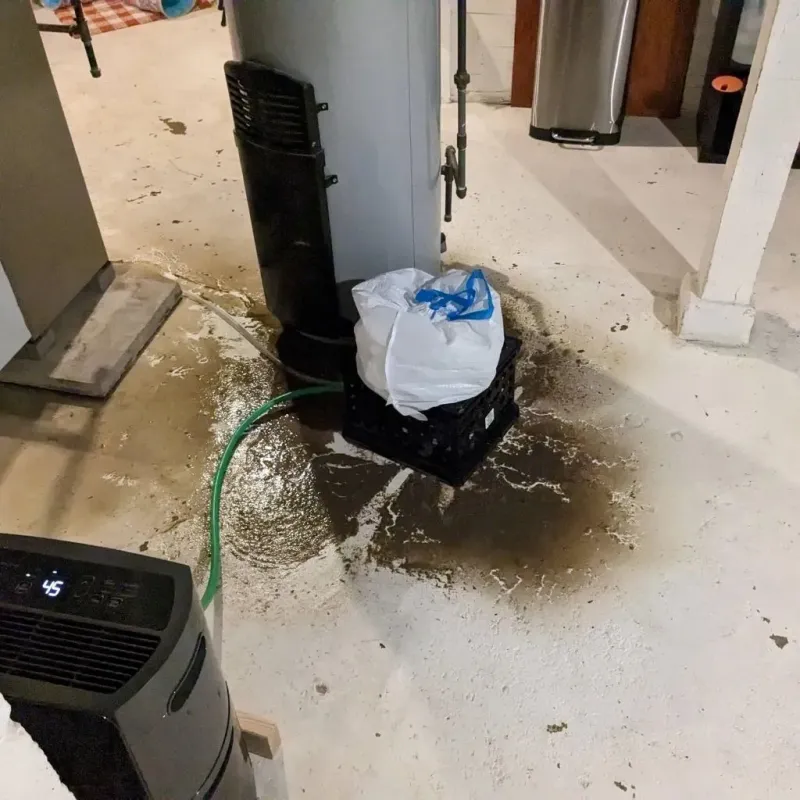 Sewage Backup Cleanup Service in Hart County, GA